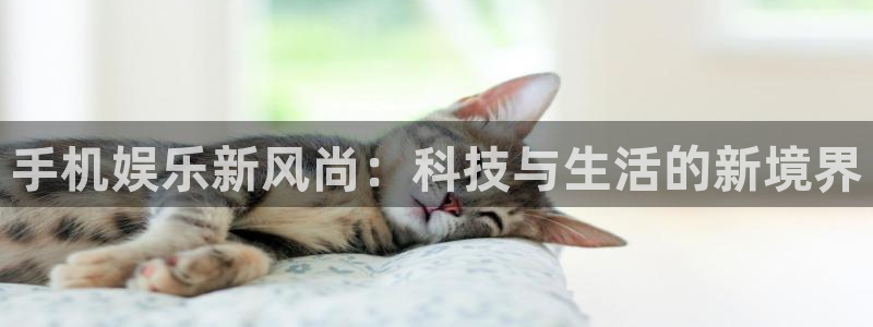 万事娱乐登录地址