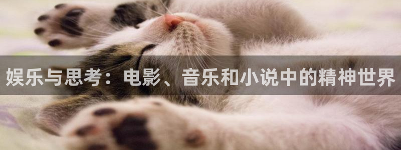 万事娱乐