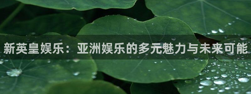 万事娱乐登录