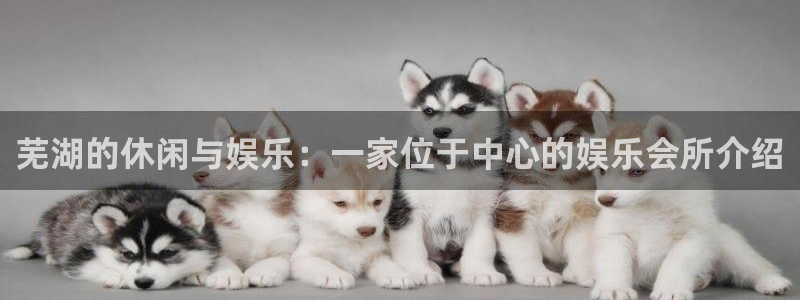 万事娱乐
