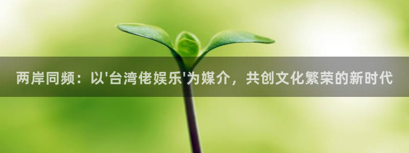 万事娱乐