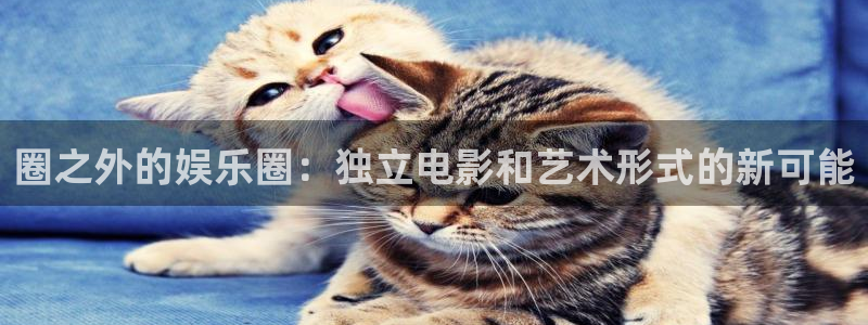 万事娱乐登录