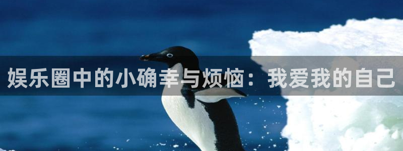 万事娱乐